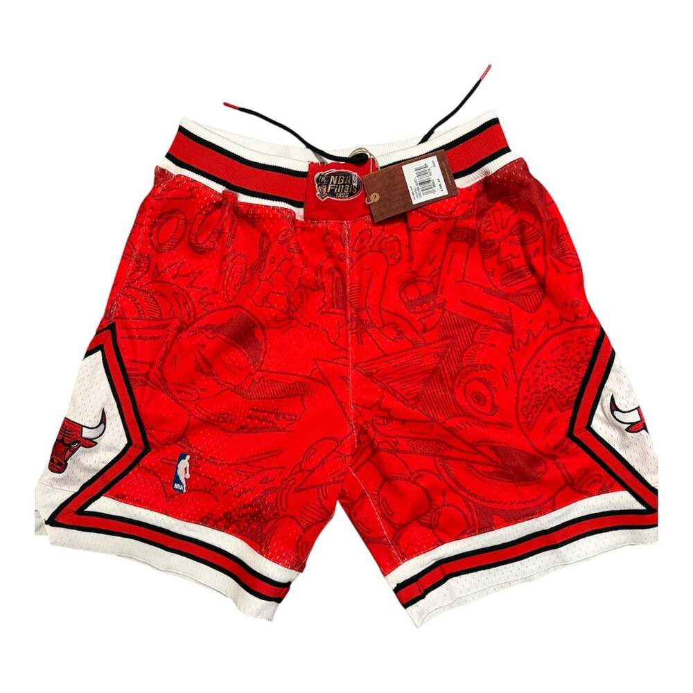 Mitchell & Ness x Hebru Brand Studios Chicago Bulls 1995-96 NBA Shorts Size 44(L